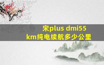 宋plus dmi55 km纯电续航多少公里